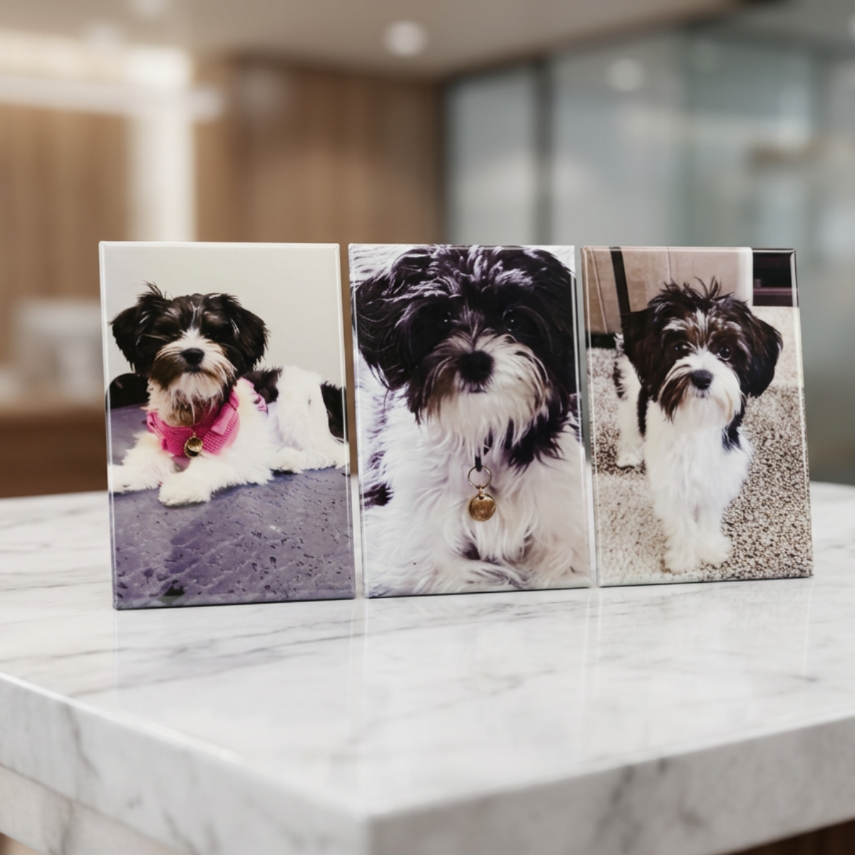 2"x 3" Rectangle Custom Photo Magnet